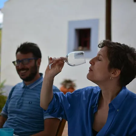 Casas Na Vinha - Monte Da Casteleja, Wine Estate - Eco Bauernhof Lagos