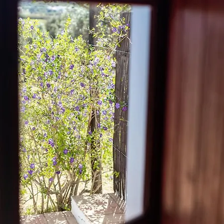 Casas Na Vinha - Monte Da Casteleja, Wine Estate - Eco Bauernhof