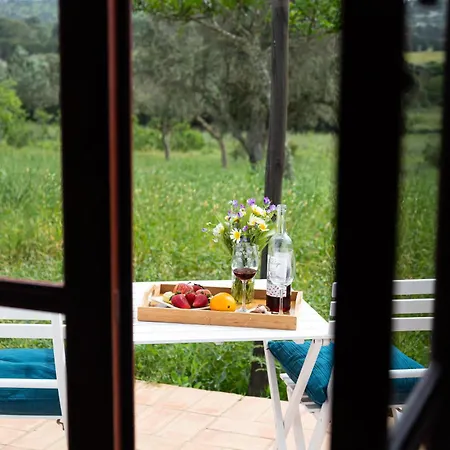 Casas Na Vinha - Monte Da Casteleja, Wine Estate - Eco Bauernhof