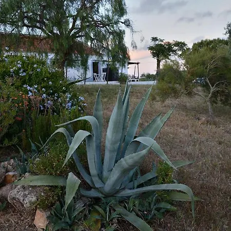 Casas Na Vinha - Monte Da Casteleja, Wine Estate - Eco