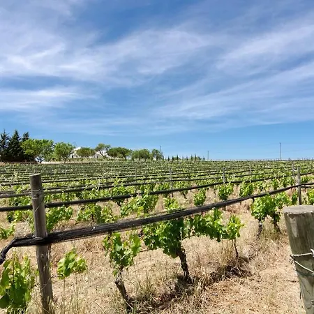Casas Na Vinha - Monte Da Casteleja, Wine Estate - Eco Lagos