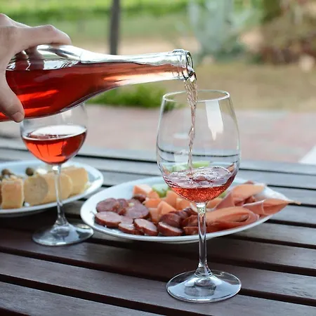 Vakantieboerderij Casas Na Vinha - Monte Da Casteleja, Wine Estate - Eco Lagos