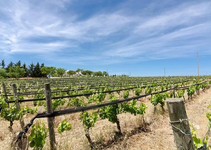Casas Na Vinha - Monte Da Casteleja, Wine Estate - Eco Lagos