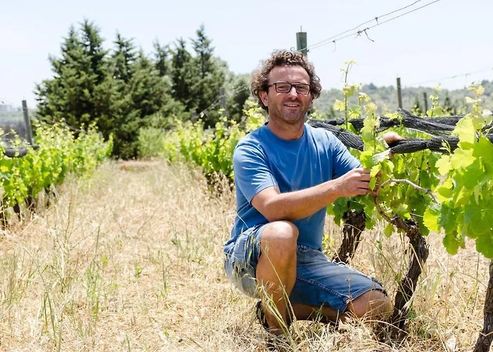 Casas Na Vinha - Monte Da Casteleja, Wine Estate - Eco Lagos