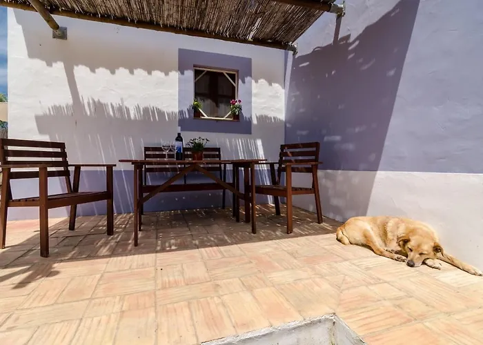 Casas Na Vinha - Monte Da Casteleja, Wine Estate - Eco *