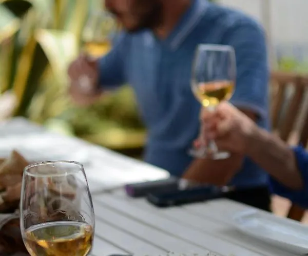 Casas Na Vinha - Monte Da Casteleja, Wine Estate - Eco Feriegård