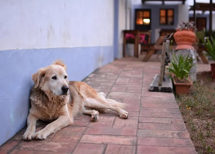 Casas Na Vinha - Monte Da Casteleja, Wine Estate - Eco Lagos
