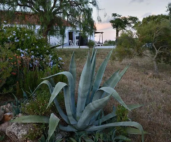 Casas Na Vinha - Monte Da Casteleja, Wine Estate - Eco