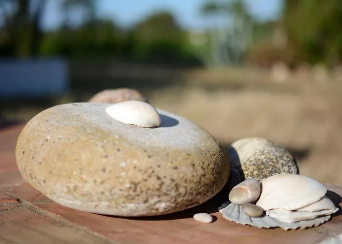 Feriegård Casas Na Vinha - Monte Da Casteleja, Wine Estate - Eco Lagos