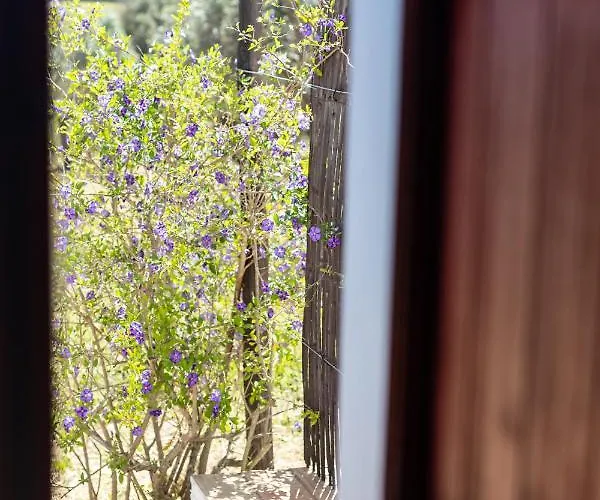 Casas Na Vinha - Monte Da Casteleja, Wine Estate - Eco Feriegård