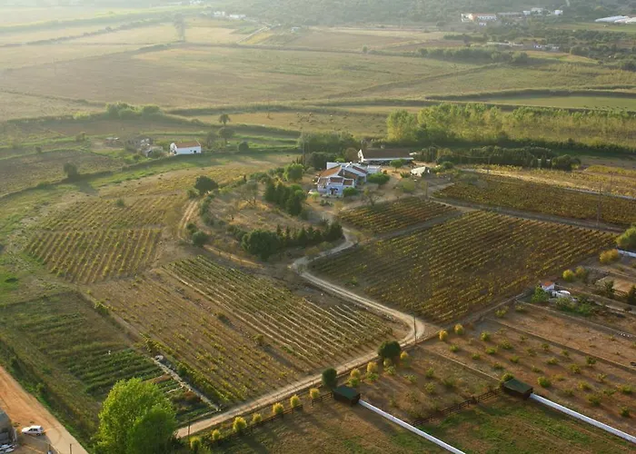 Casas Na Vinha - Monte Da Casteleja, Wine Estate - Eco Feriegård Lagos