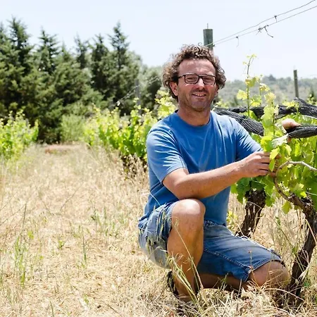 Casas Na Vinha - Monte Da Casteleja, Wine Estate - Eco Lagos