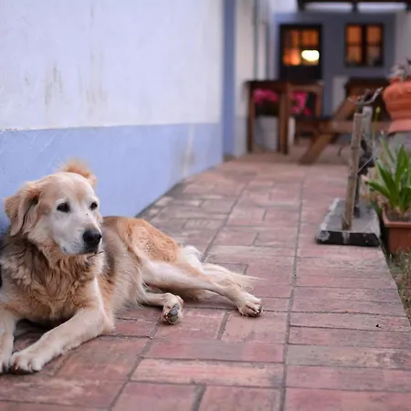 Casas Na Vinha - Monte Da Casteleja, Wine Estate - Eco Lagos