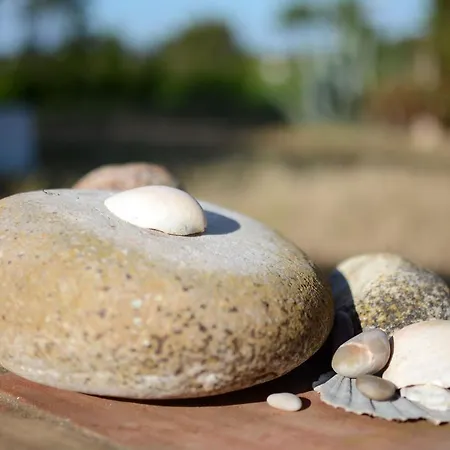 Agroturismo Casas Na Vinha - Monte Da Casteleja, Wine Estate - Eco Lagos