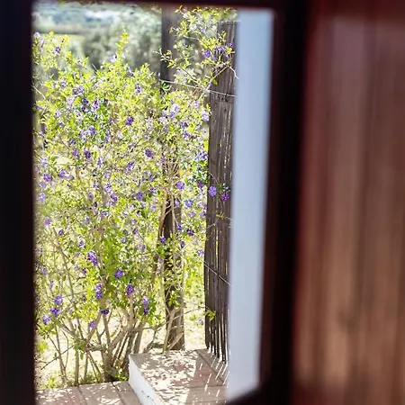 Casas Na Vinha - Monte Da Casteleja, Wine Estate - Eco Farm stay