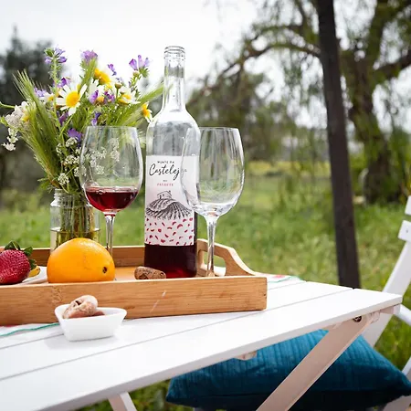 Casas Na Vinha - Monte Da Casteleja, Wine Estate - Eco *