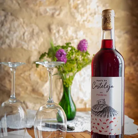 Farm stay Casas Na Vinha - Monte Da Casteleja, Wine Estate - Eco *