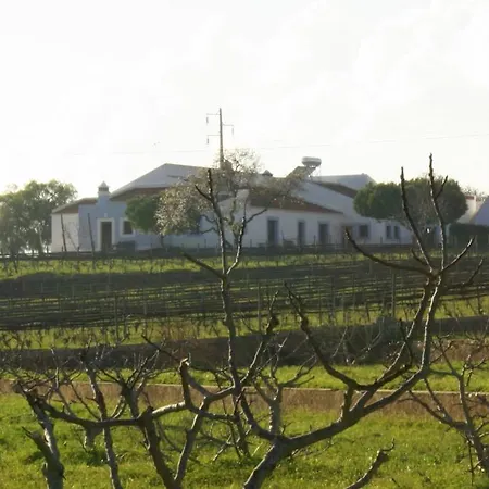 Farm stay Casas Na Vinha - Monte Da Casteleja, Wine Estate - Eco *